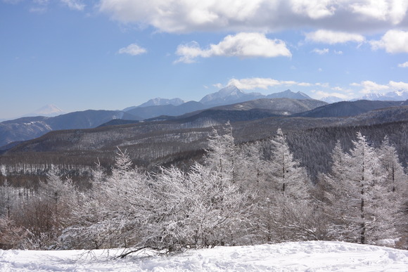 c0042847_1747650.jpg