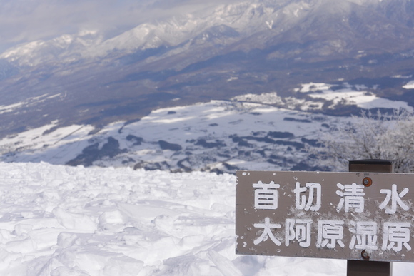 c0042847_1751840.jpg