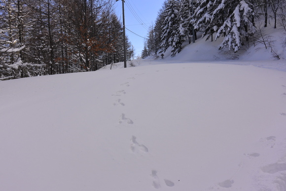 c0042847_17524368.jpg