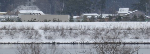 b0238249_17411233.jpg