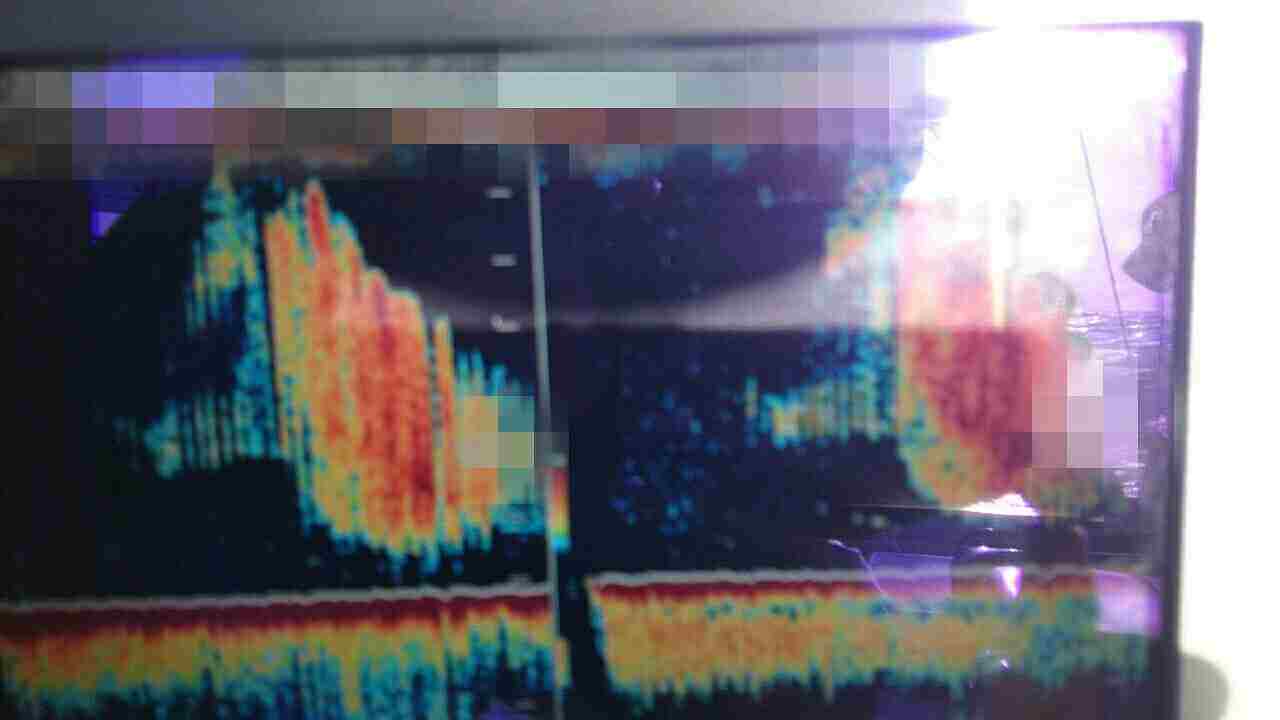 a0248152_18431890.jpg