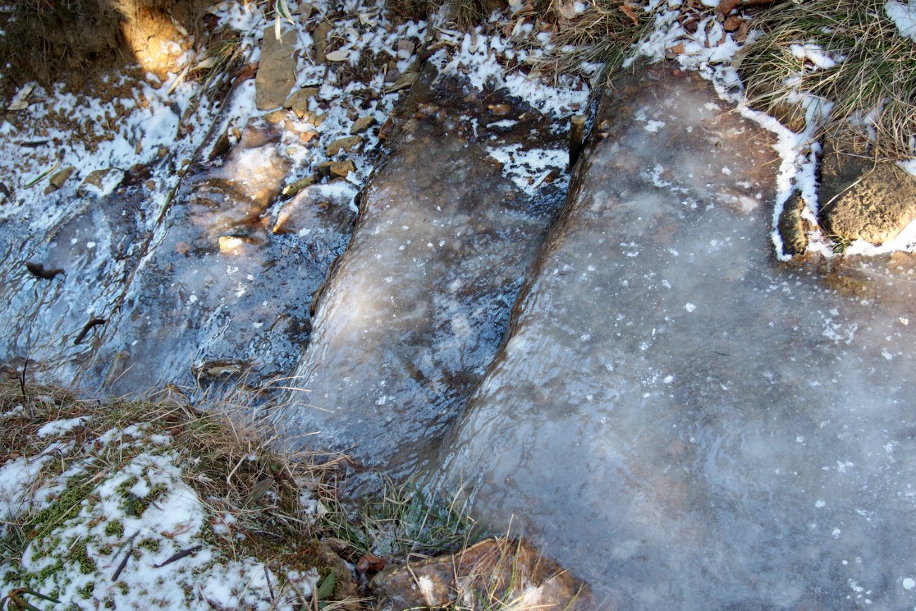 e0105954_11553671.jpg