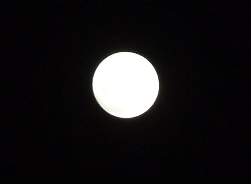 f0055956_2095627.jpg