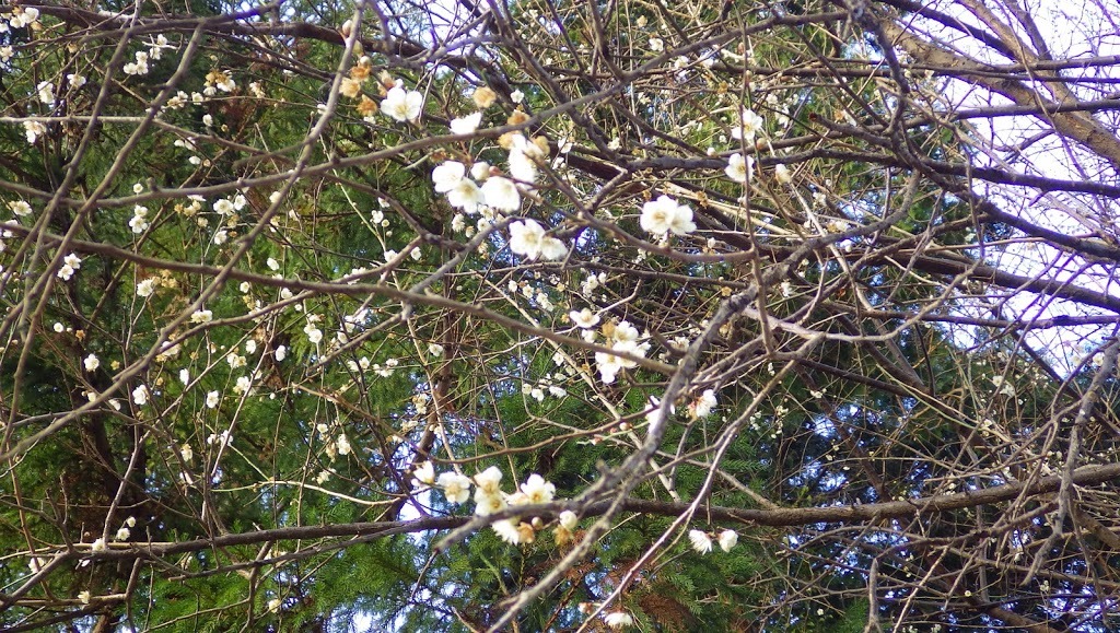 f0201157_23543189.jpg