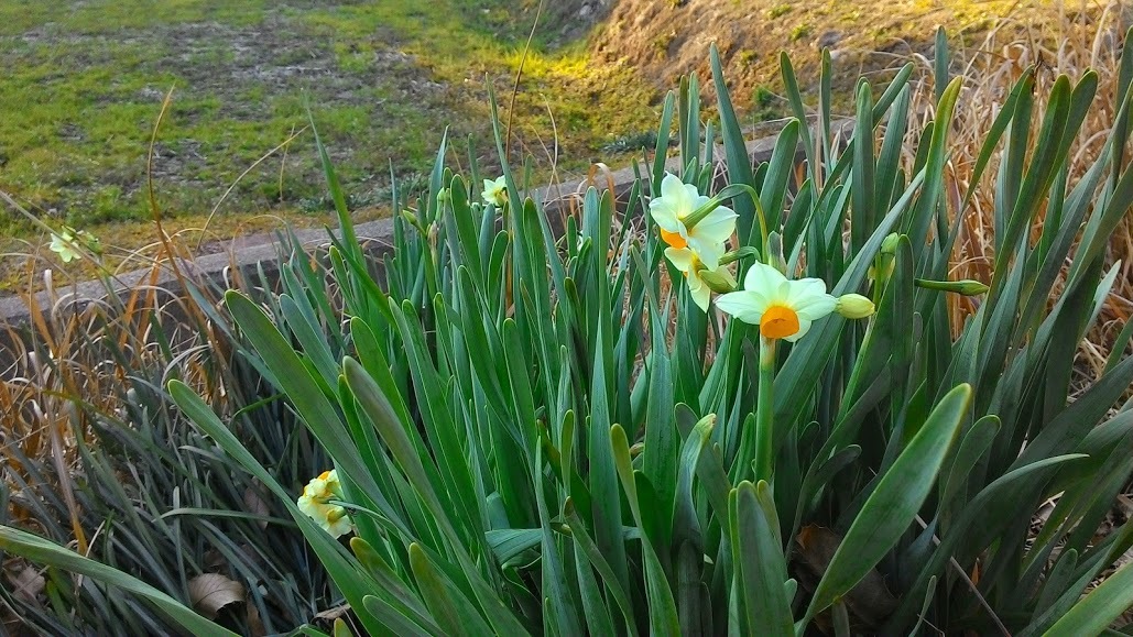f0201157_23544022.jpg