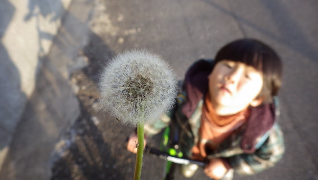 f0201157_23571243.jpg