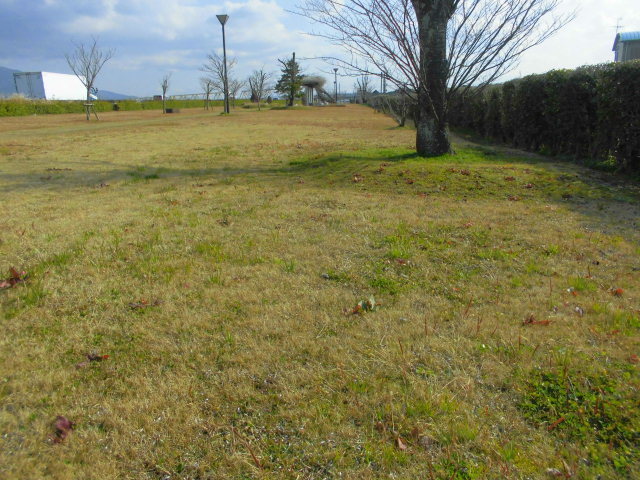 f0318967_19412611.jpg