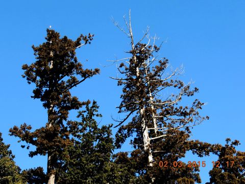 f0104277_16593686.jpg