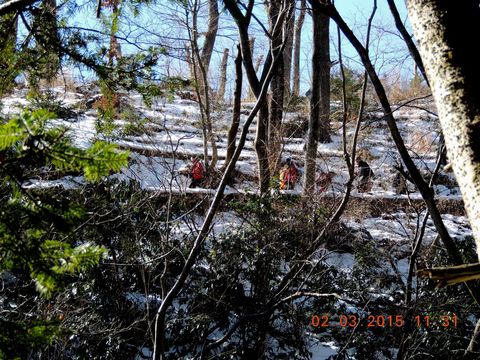 f0104277_1792479.jpg