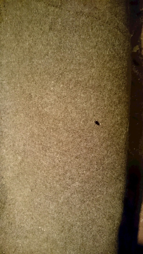 c0226387_17403977.jpg