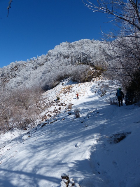 f0357487_15544154.jpg