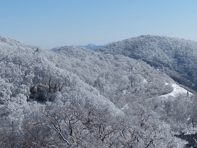 f0357487_1556076.jpg