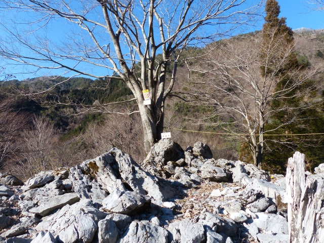 f0357487_1557718.jpg