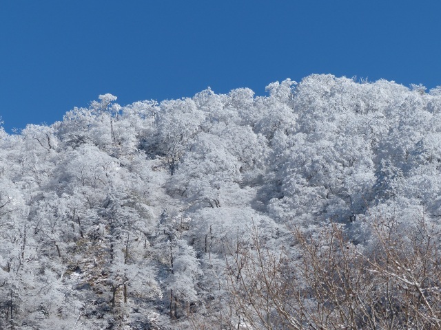f0357487_21282284.jpg