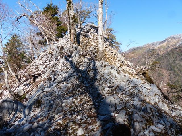 f0357487_213417.jpg
