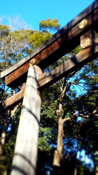 c0242791_17462847.jpg
