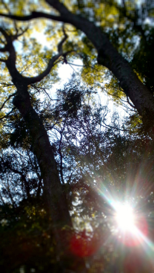 c0242791_17503291.jpg