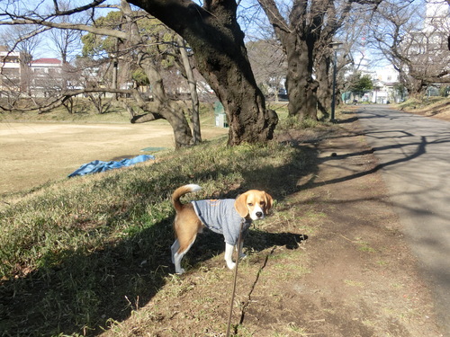 a0319693_1581631.jpg