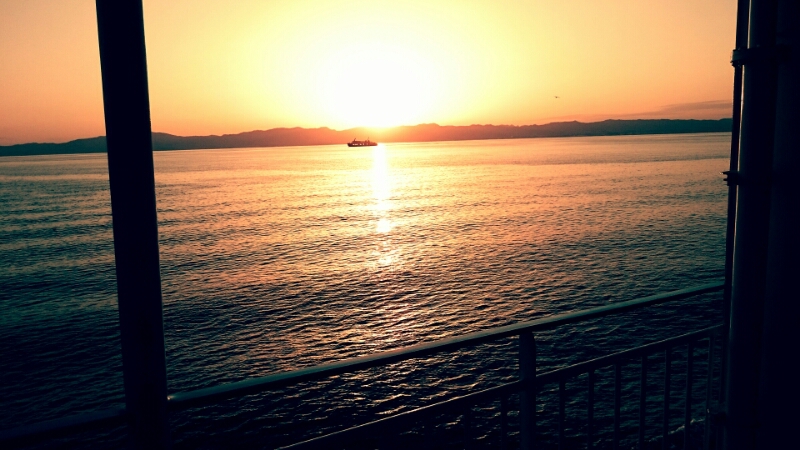 c0202101_07867.jpg