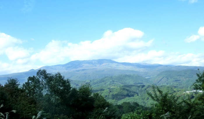 d0004301_20572198.jpg