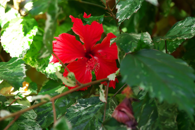 a0263109_9481472.jpg