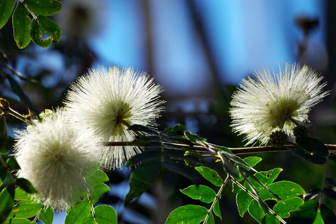 a0263109_9485882.jpg