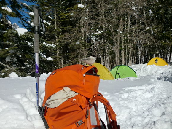 c0210618_9203932.jpg