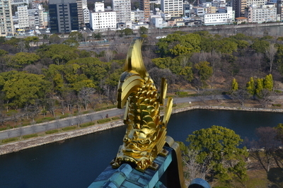 b0121019_19381037.jpg