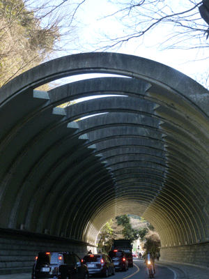 e0312121_1242921.gif