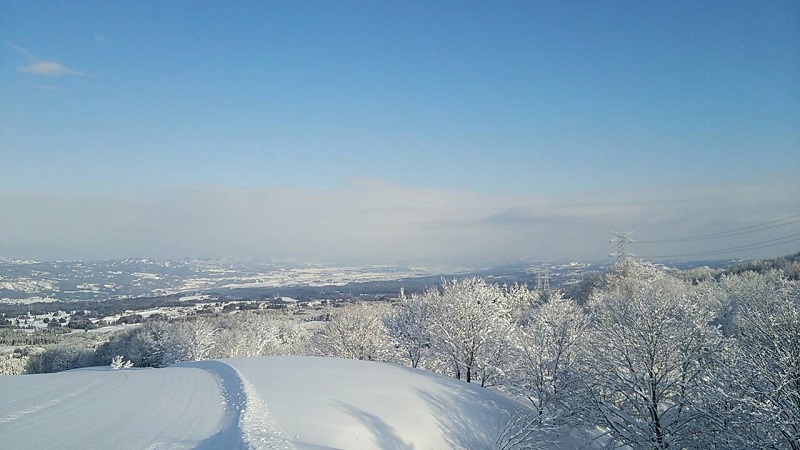 b0199924_19394837.jpg