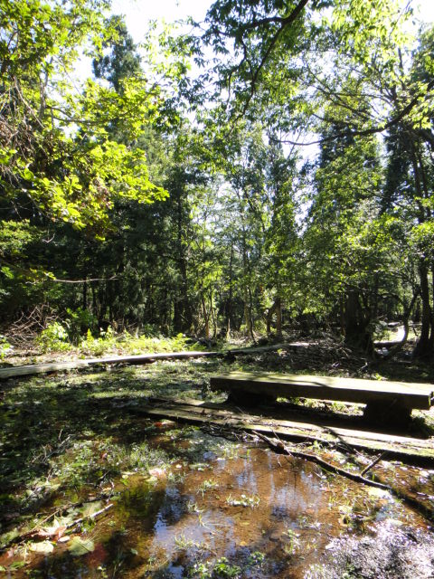 c0189724_1340888.jpg