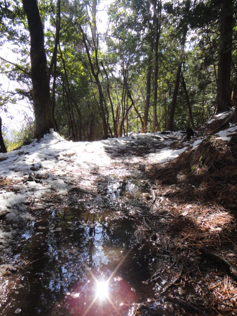 c0189724_1345859.jpg