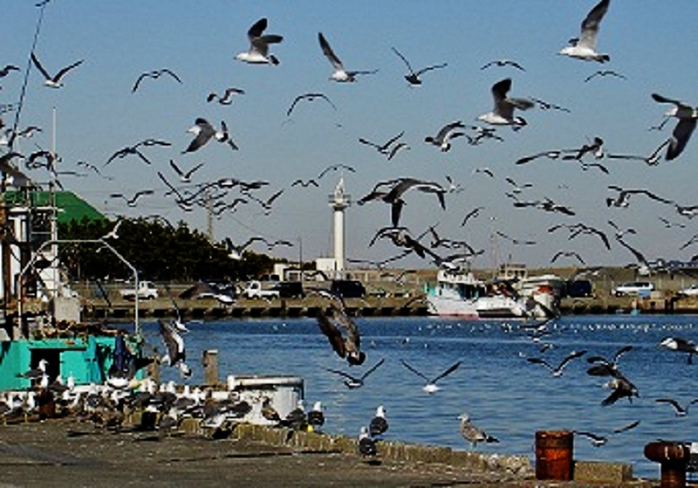 b0252727_8174798.jpg