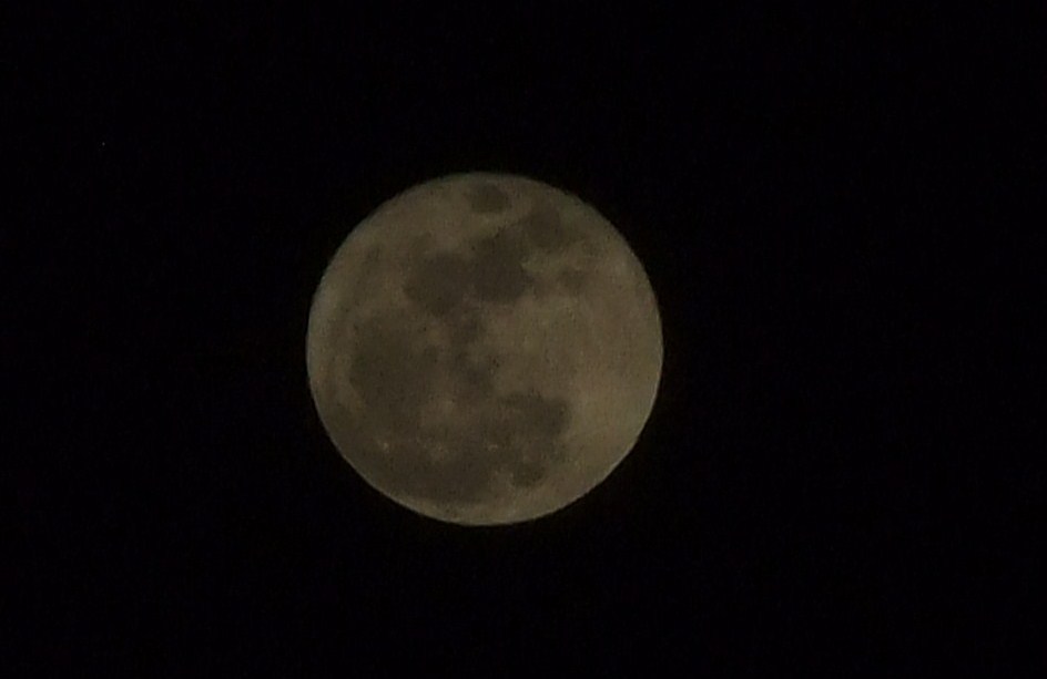 b0137932_19523698.jpg