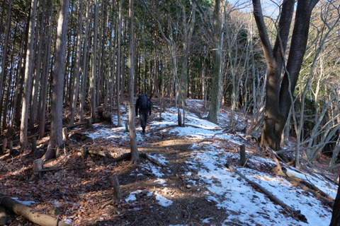 b0281732_1142151.jpg