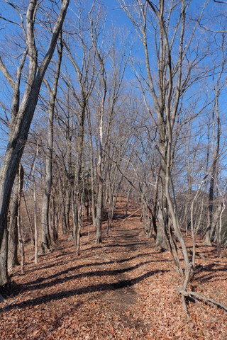 b0281732_1171837.jpg