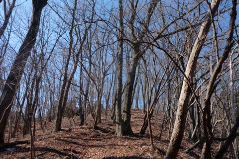 b0281732_1171851.jpg