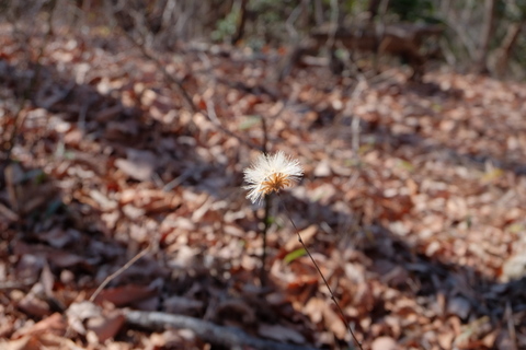 b0281732_1172531.jpg