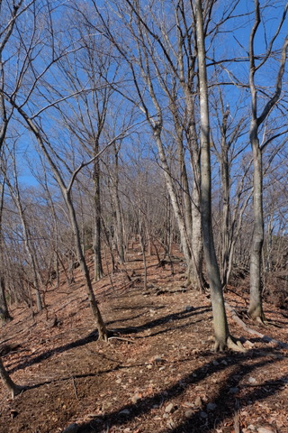b0281732_1174789.jpg