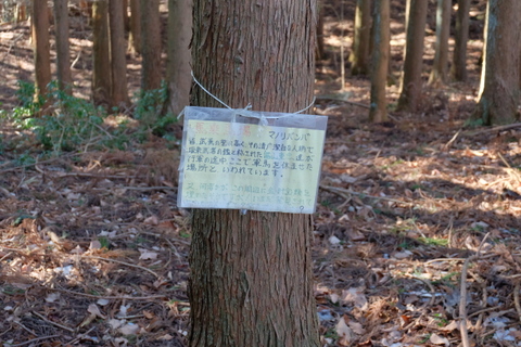 b0281732_1182362.jpg