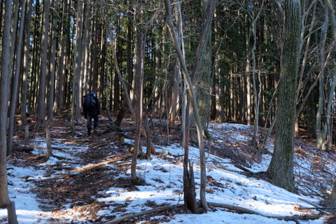 b0281732_1183473.jpg