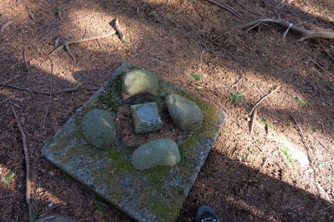 b0281732_1184756.jpg