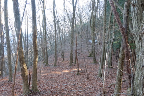 b0281732_1185314.jpg