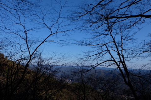 b0281732_119127.jpg