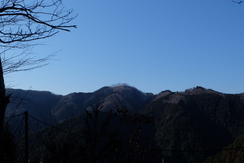 b0281732_1192087.jpg