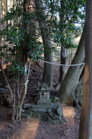 b0281732_1192664.jpg