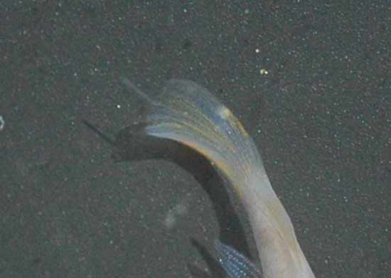 e0097534_1131663.jpg