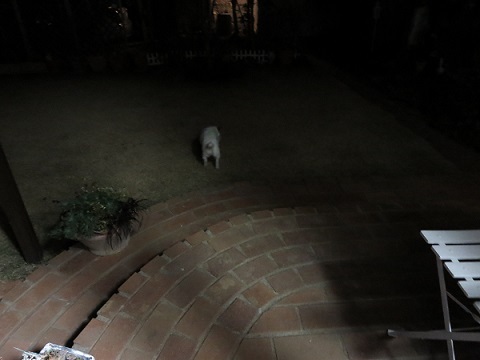 b0301236_05370889.jpg