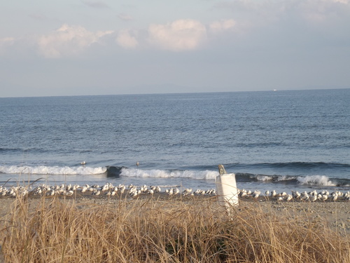 f0248337_16301652.jpg
