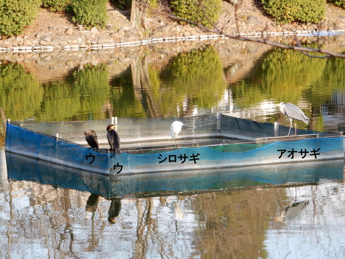 f0247039_1952492.jpg
